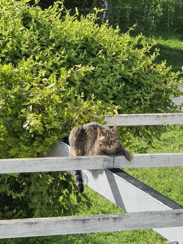 les roulottes de la brauderie