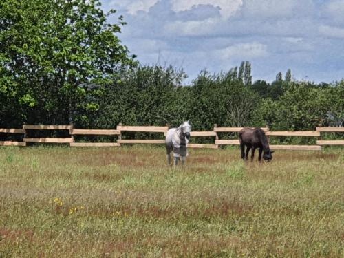 les roulottes de la brauderie