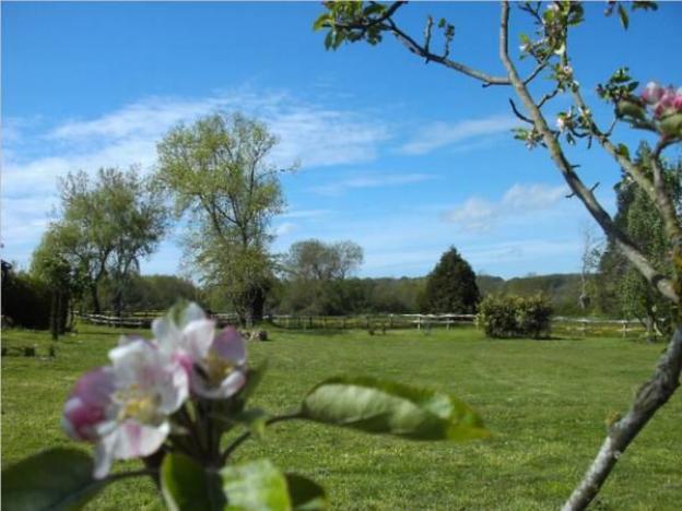 les roulottes de la brauderie