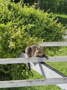 les roulottes de la brauderie