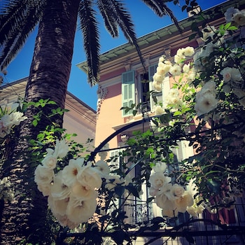 hotel villa rose