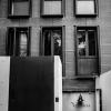 the wild oscar