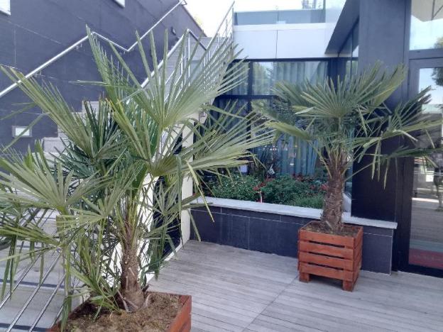 epinay sur seine