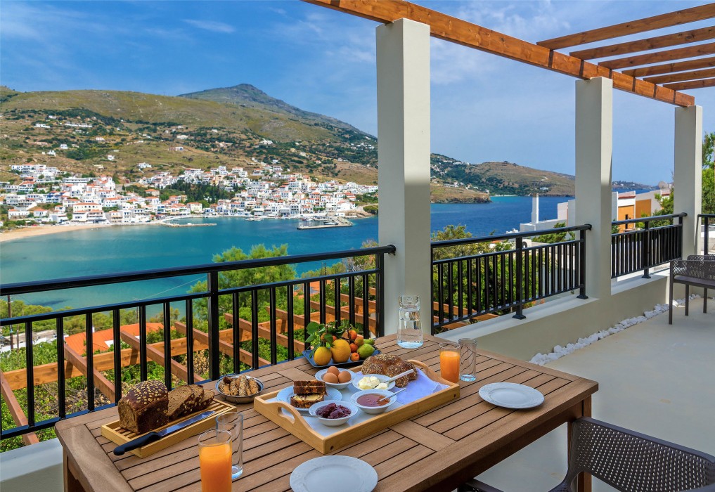 belvedere andros