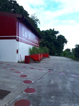 hotel tante arlette