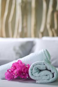 hotel tante arlette