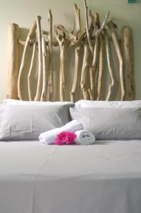 hotel tante arlette