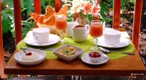 hotel tante arlette