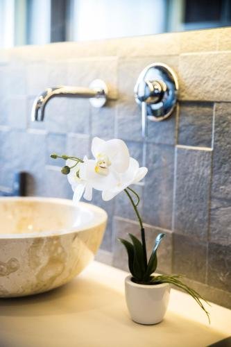 eden luxury suites terazije