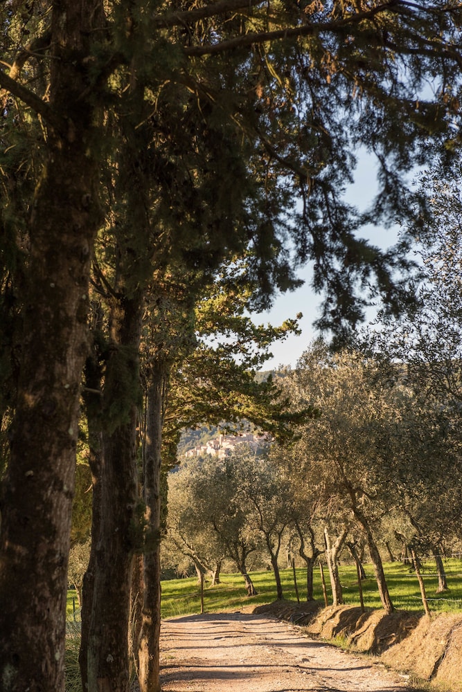 tenuta la bandita