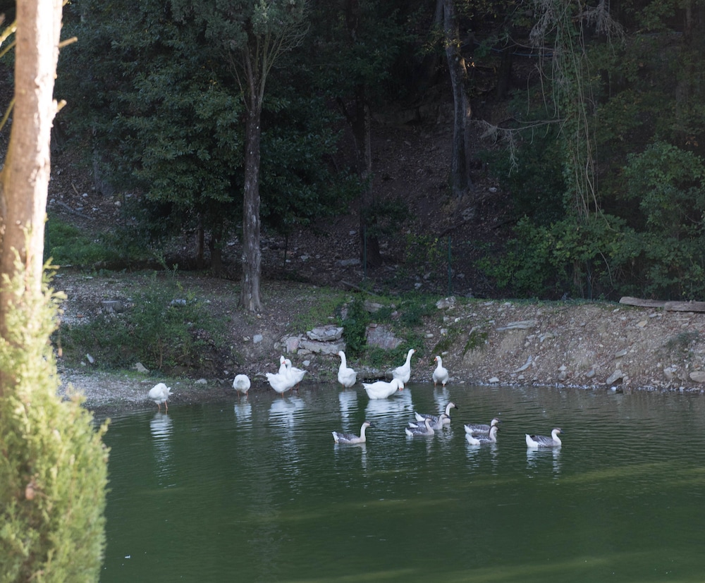 tenuta la bandita
