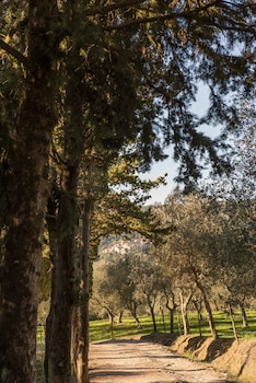 tenuta la bandita