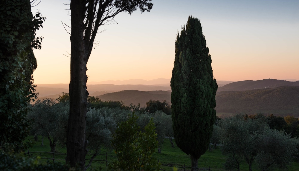 tenuta la bandita