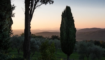 tenuta la bandita
