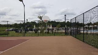 the colonies at williamsburg