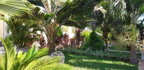 Ravenala Hotel Boutique,Canoa Quebrada>>Aracati,4 star