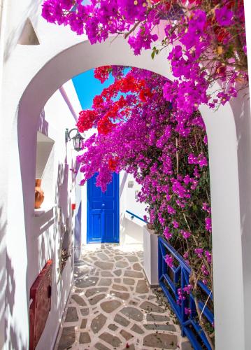 syros