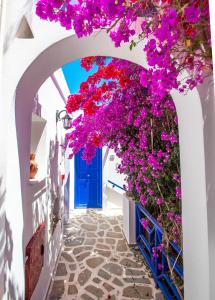 syros