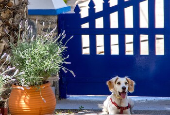 syros