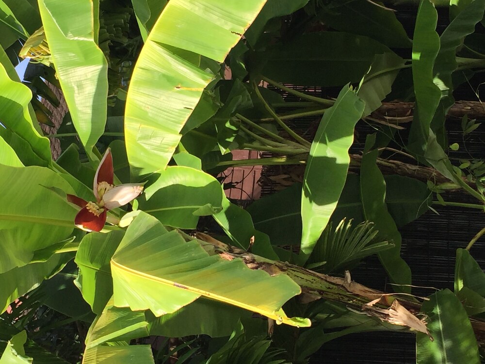 sam so boutique villa