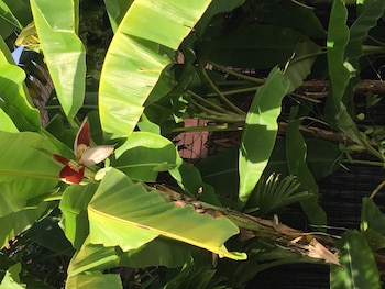 sam so boutique villa