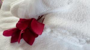 Domus Antiqua Residence,Bari>>Alberobello,3 star