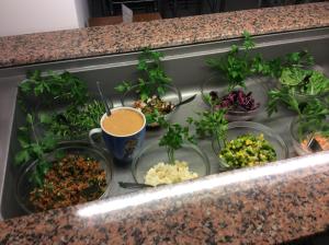 Blumenhotel,Cologne>>Bergneustadt,2 star