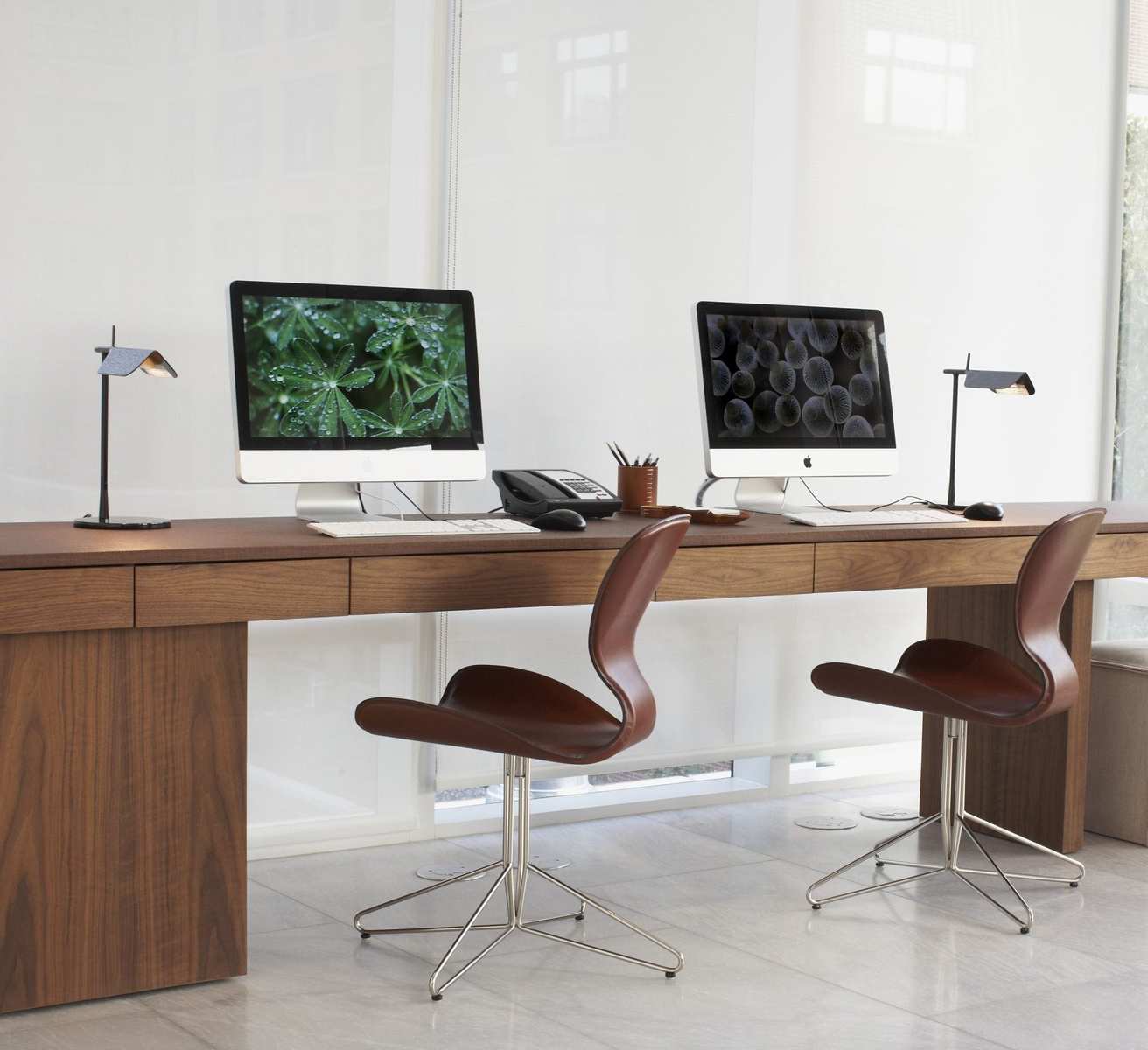 modernhaus soho
