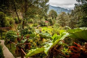 Paraiso Quetzal Lodge,Copey>>Cartago,3 star