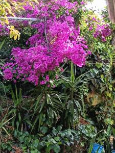 the john bauer pottery studio