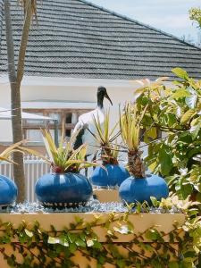 The John Bauer Pottery Studio,Claremont>>Cape Town,4 star