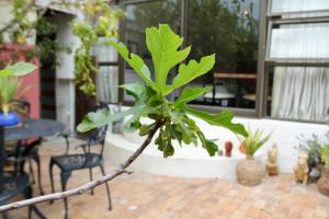 the john bauer pottery studio