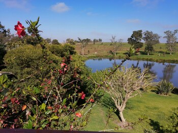 ibis place guest house