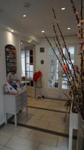 hotel des dames ex commodore