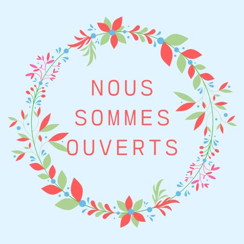 hotel des dames ex commodore