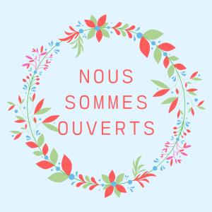 hotel des dames ex commodore