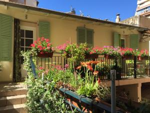 hotel des dames ex commodore