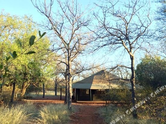 iphofolo lodge