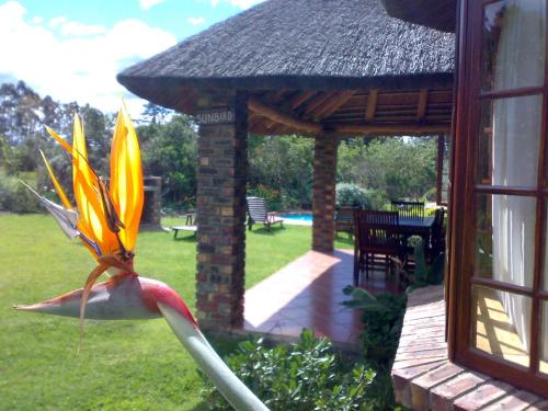 coral tree cottages