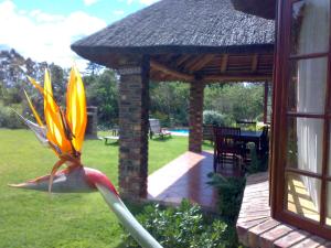 coral tree cottages