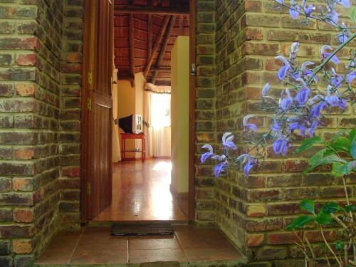 coral tree cottages