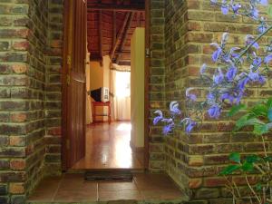 coral tree cottages