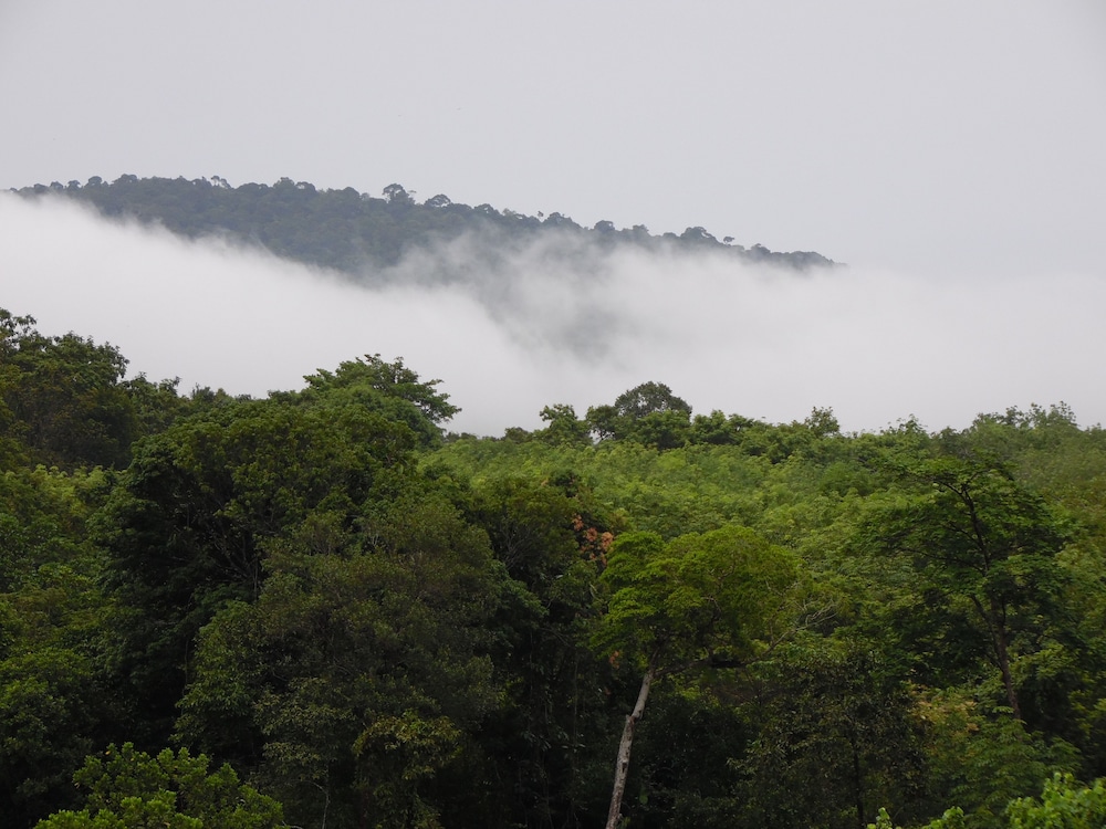 phutubkaek view house