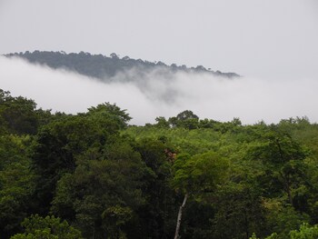 phutubkaek view house