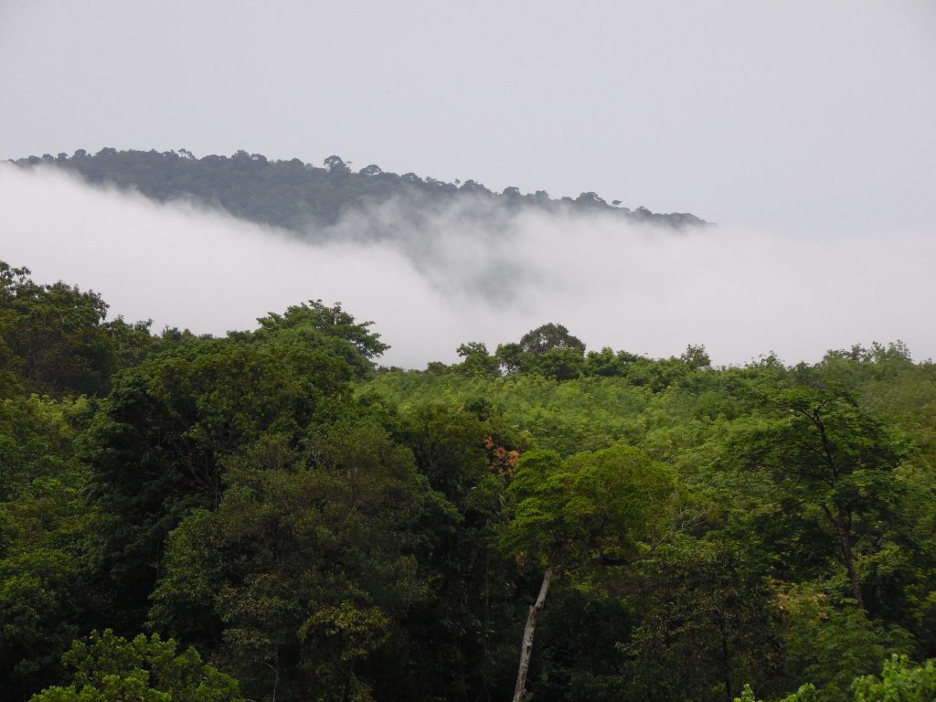 phutubkaek view house