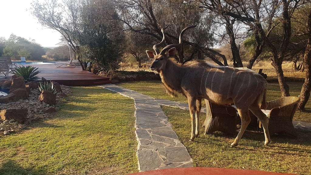 Finfoot Lake Reserve By Dream Resorts,Bojanala>>Beestekraal,4 star