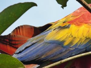 corcovado beach lodge