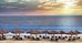 the st regis sanya yalong bay resort