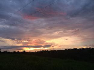 san miguel de los bancos