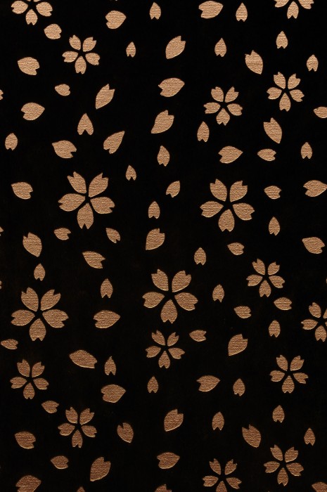 aroma kuravi adults only